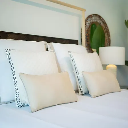 Golf Premium * サロブレ